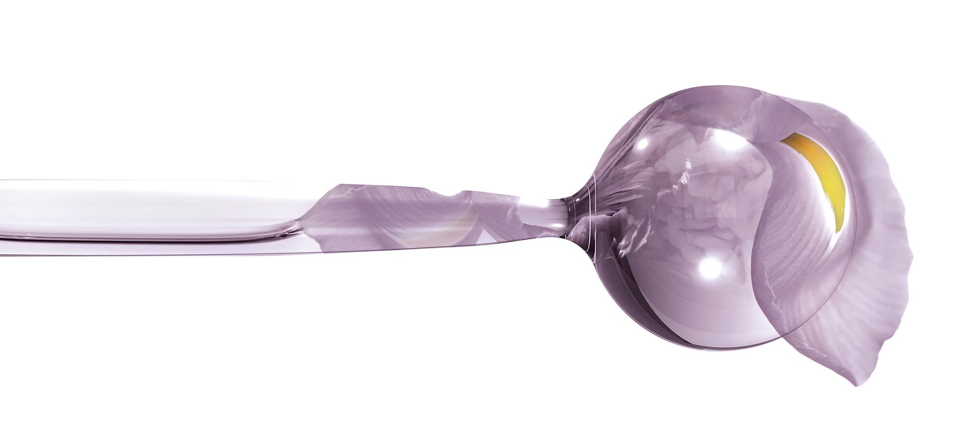 LAVENDER ESSENTIAL OIL